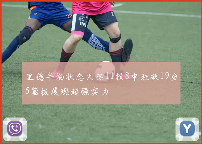 里德半场状态火热11投8中狂砍19分5篮板展现超强实力