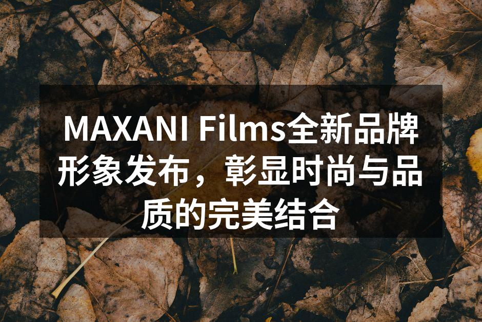 MAXANI Films全新品牌形象发布会现场